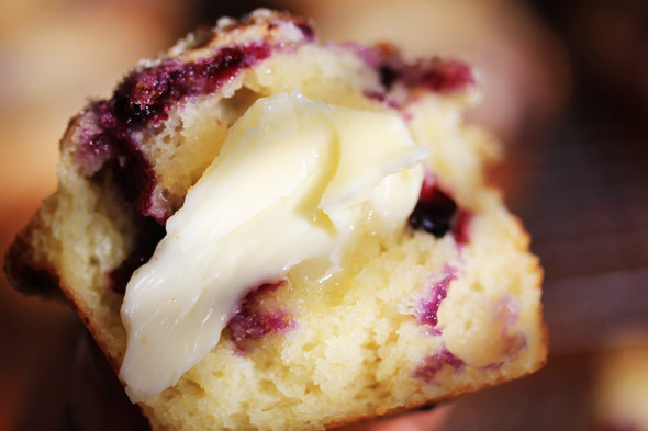 Lemon Sugar Crusted Blueberry Muffins