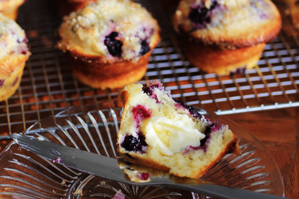 Lemon Sugar Crusted Blueberry Muffins