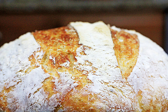 Crusty No-Knead Artisan Bread