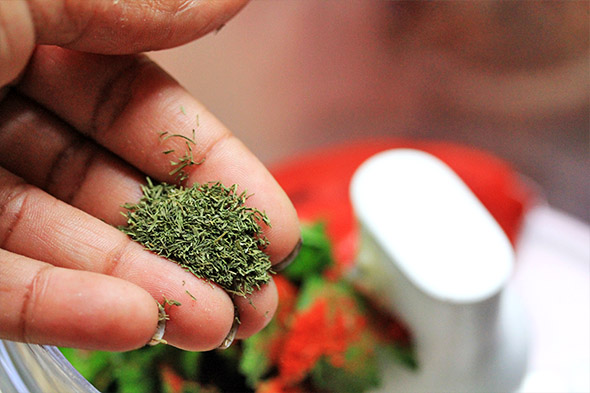 some dried dill maybe? or dried parsley, cilantro, or whatever would work. 