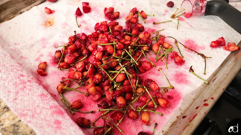Smoked Cherry BBQ Sauce