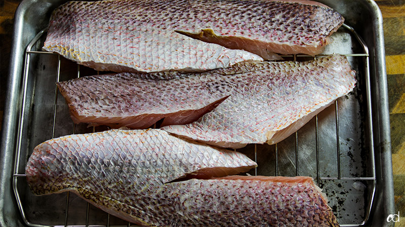 red snapper dried out in fridge for an hour