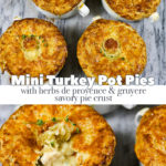 Miniturkeypotpies Pin