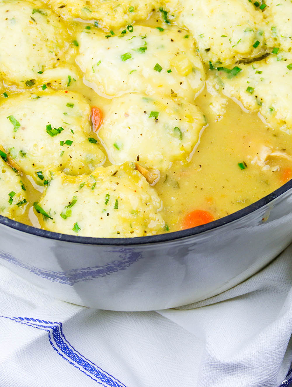 Roasted Chicken and Parmesan Herb Dumplings