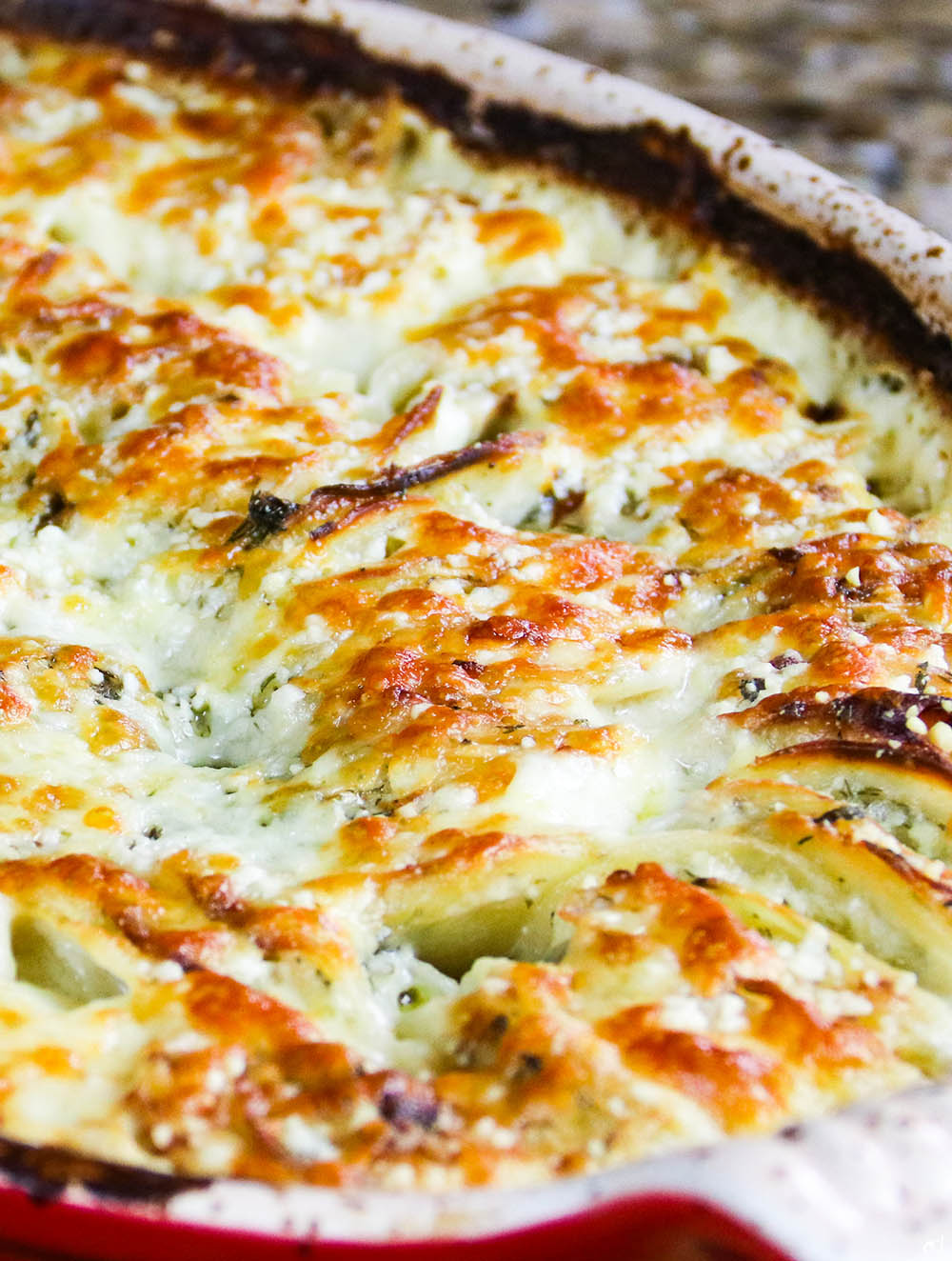 Hasselback Potato Gratin Featured2