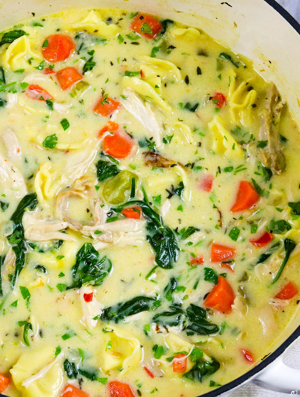 Creamy Chicken Tortellini Soup F1