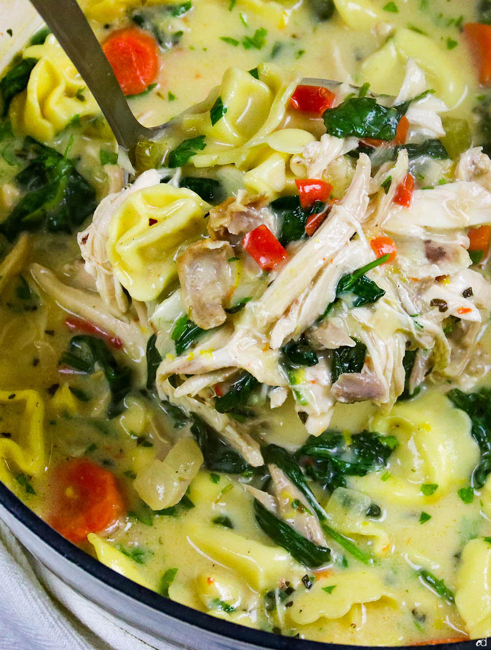 Creamy Chicken Tortellini Soup F2