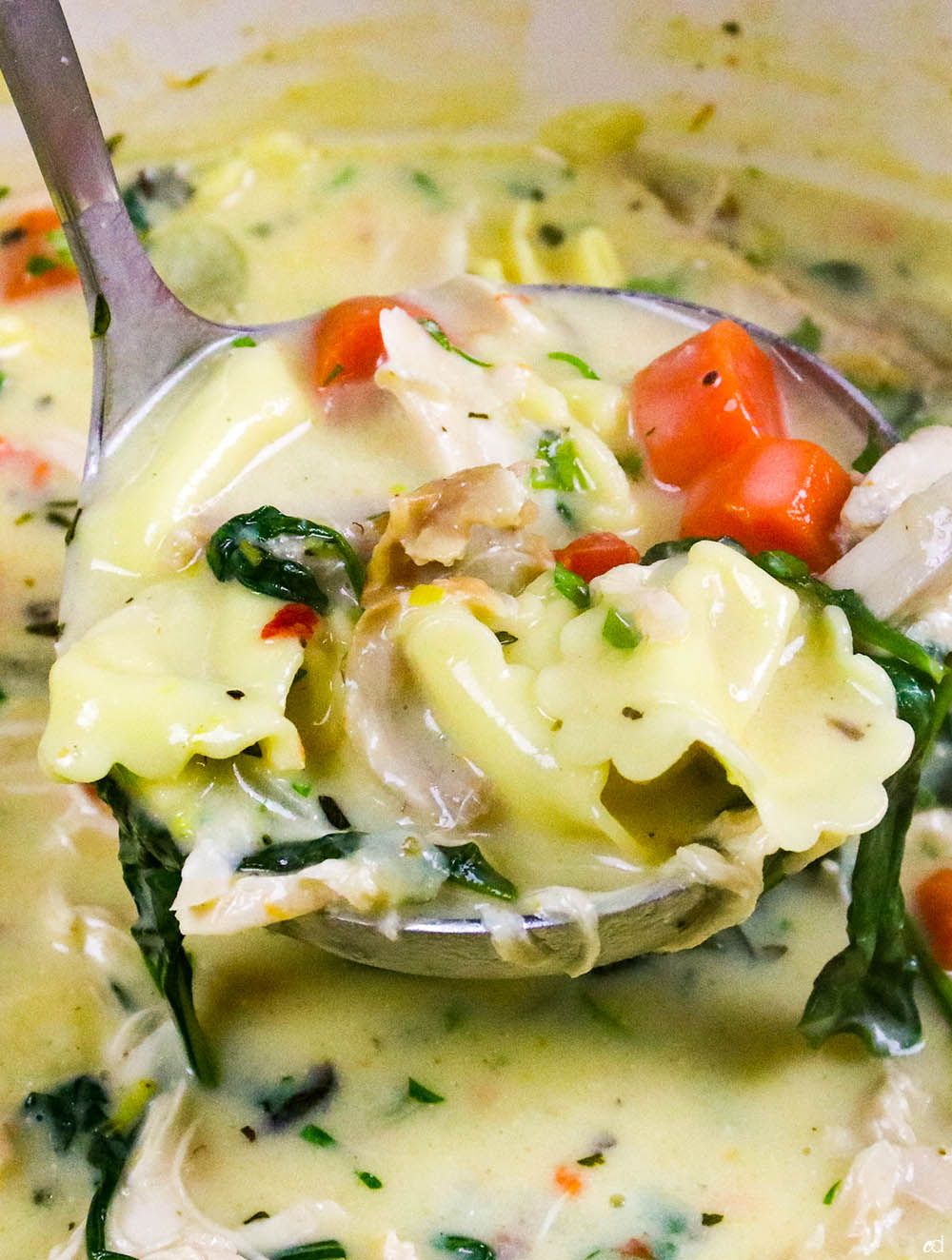 Creamy Chicken Tortellini Soup F3