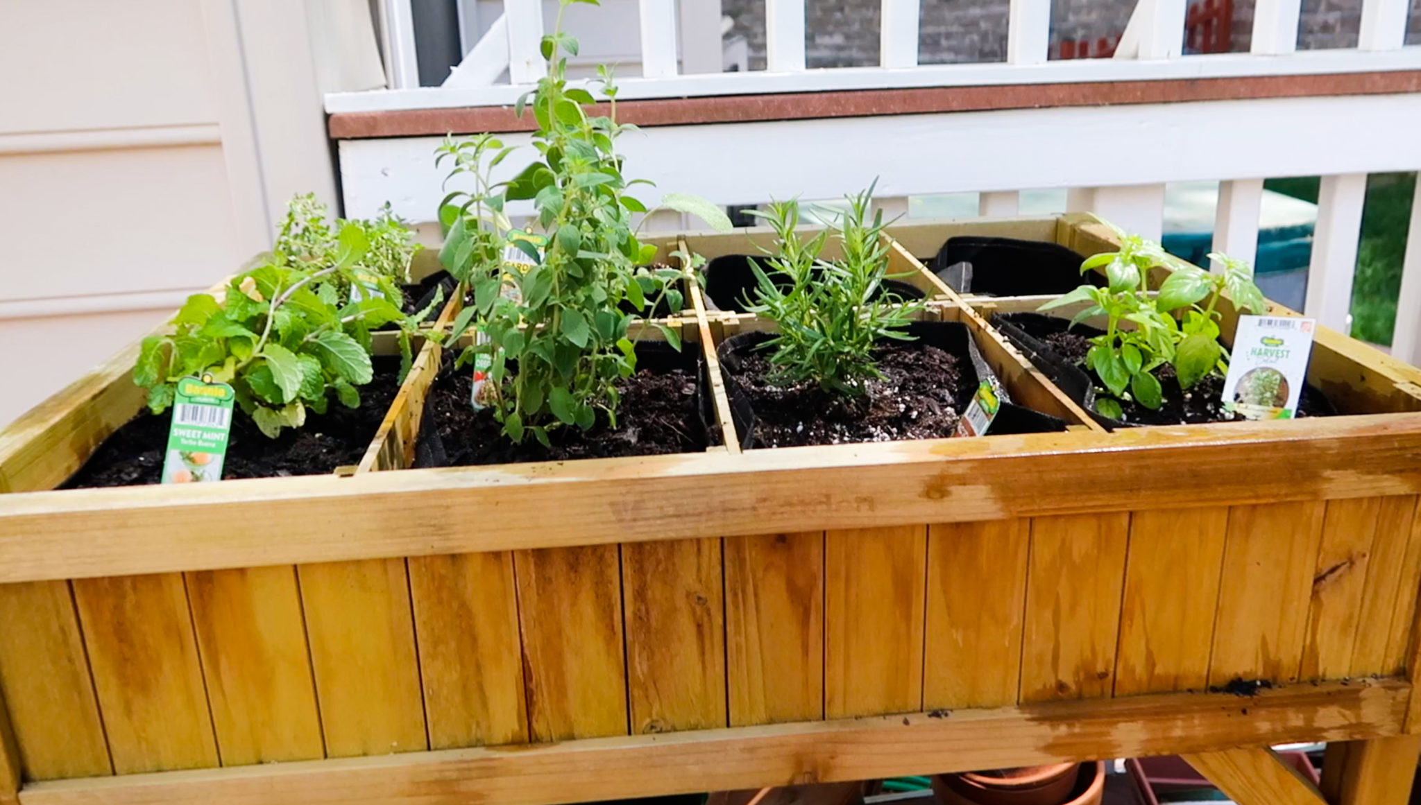 How to Grow Your Own Herbs | Container Gardening | CarnalDish