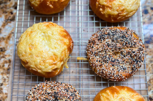 the best homemade bagels, asiago, everything