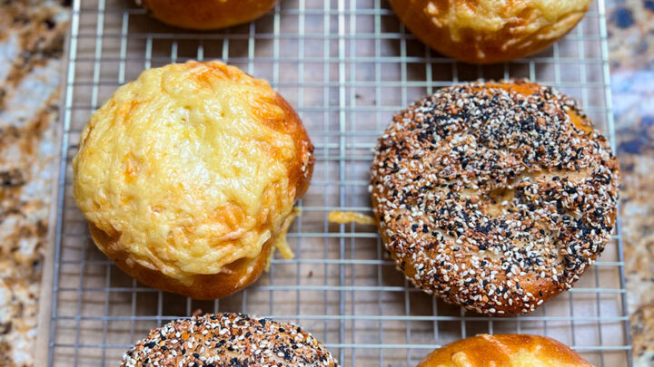 the best homemade bagels, asiago, everything