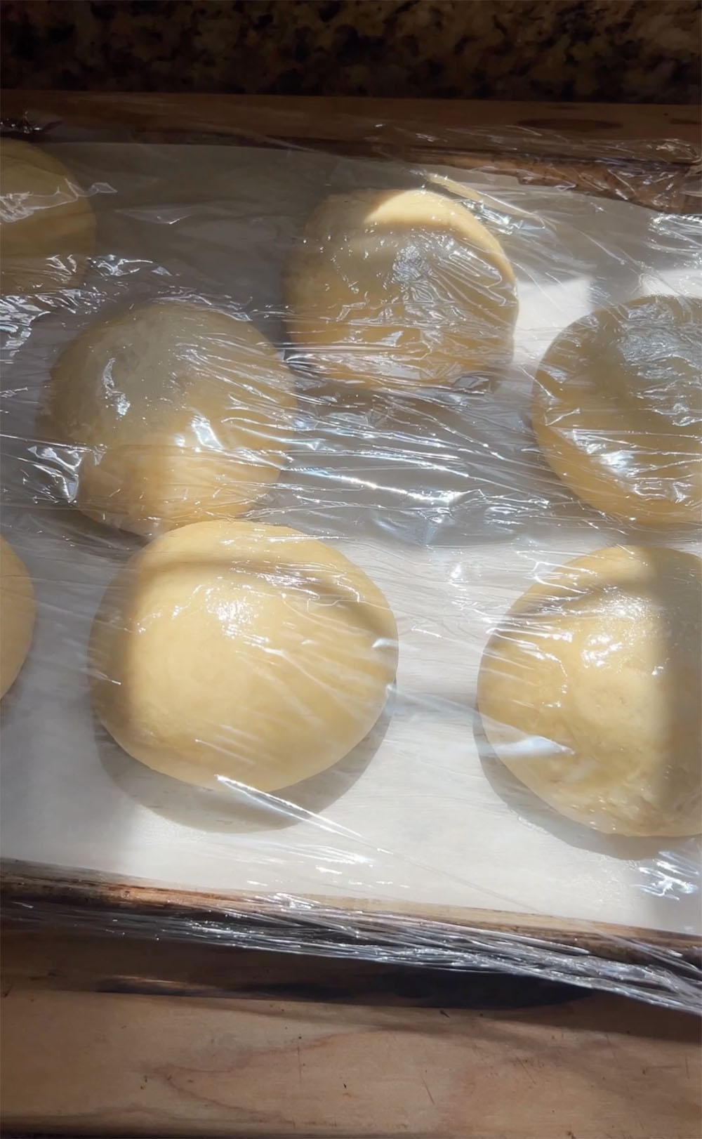 fully proofed brown butter brioche dough