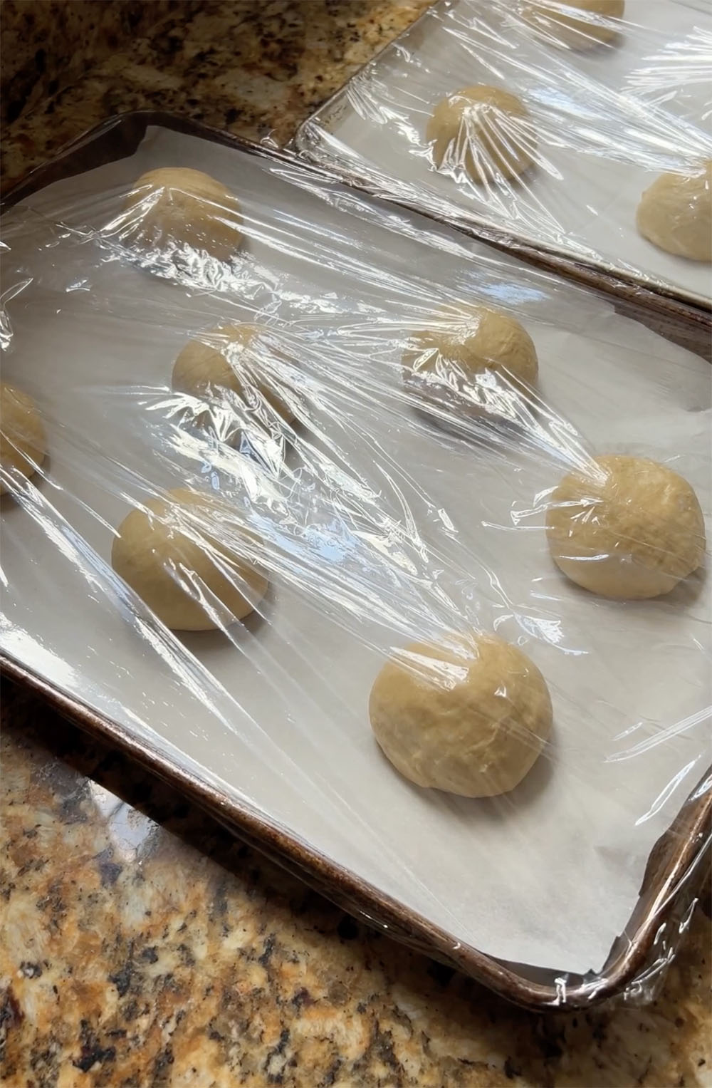 formed dough balls ready to be proofed